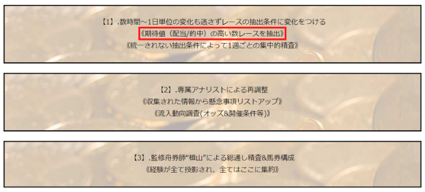 競艇バイキングの有料情報ページに記載された期待値の説明文
