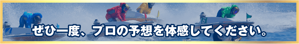 ぜひ一度、プロの予想を体感してくださいという誘導バナー